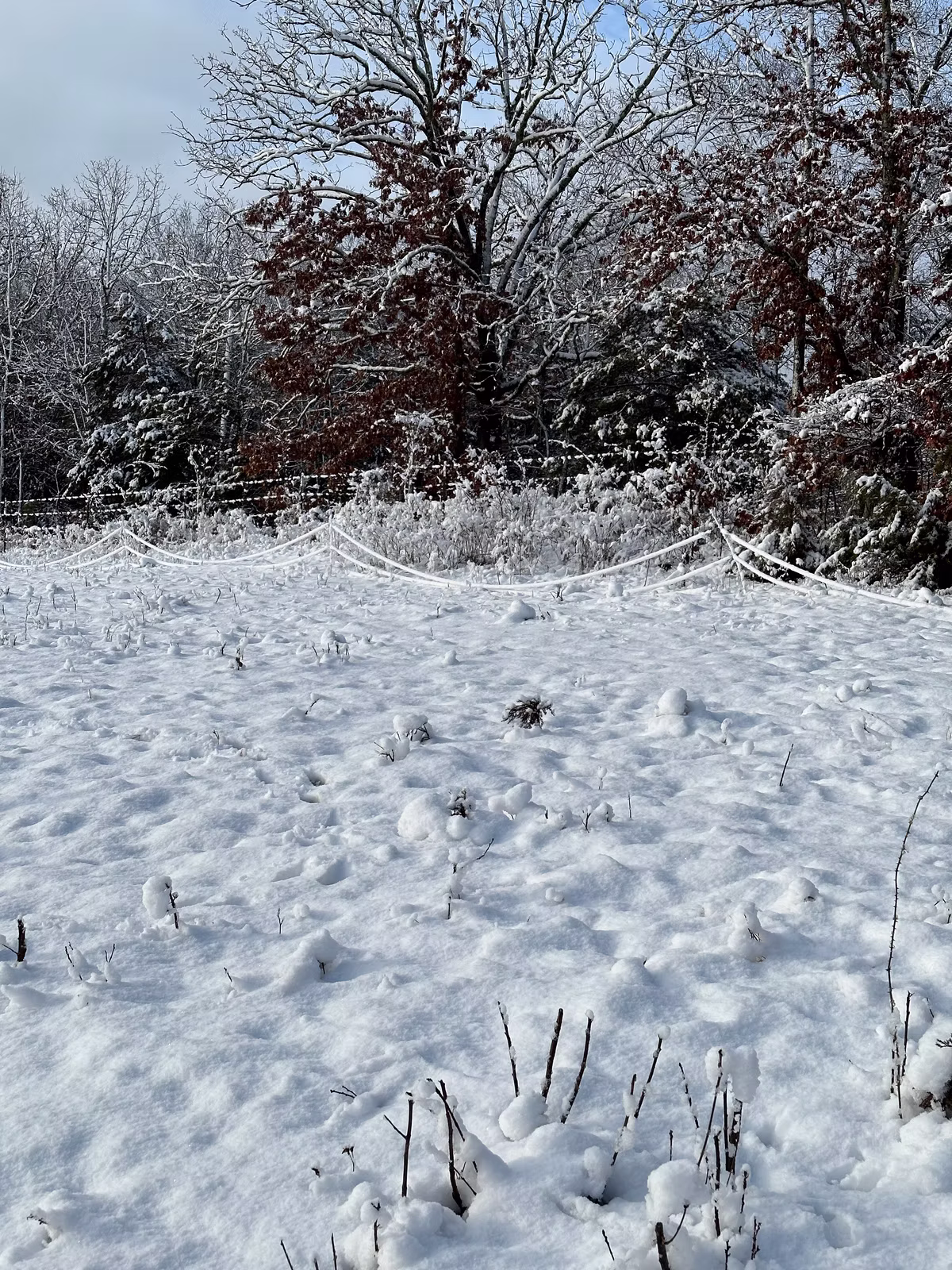 Poly-wire drooping to the ground under the snow