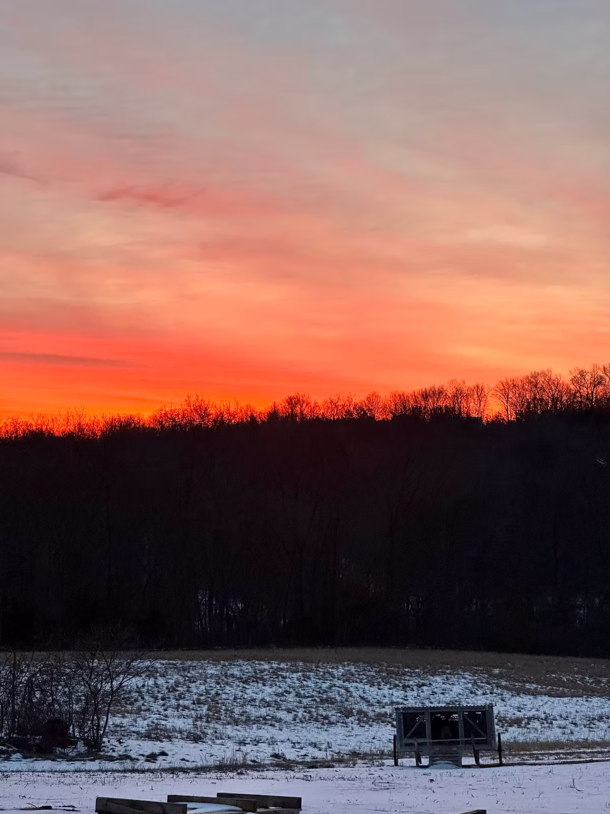 Saturday Sunrise